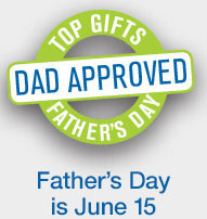 Father s Day Game Sweepstakes from Brookstone American Sweepstakes