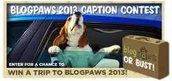 blogpaws_or_bust_2013
