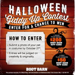 boot-barn-halloween-contest